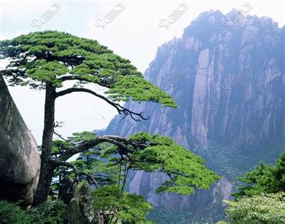 八月签约黄道吉日一览表