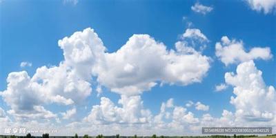 周公解梦：梦见猫的6种含义