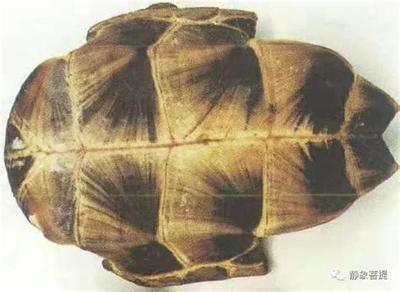 五月入宅黄道吉日一览表